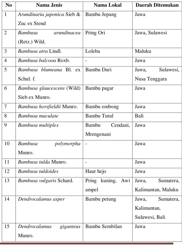 Tabel 1. Jenis-Jenis bambu di Indonesia 
