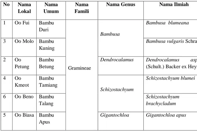 Tabel  2.  Jenis-jenis  bambu  di  keluraha  Teunbaun  kecamatan  Amarasi  Barat kabupaten Kupang 