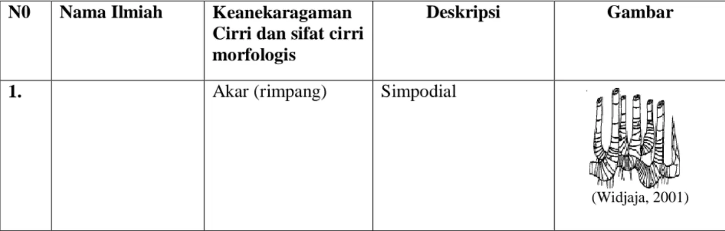 Tabel 3. Keanekaragaman  Ciri dan Sifat Ciri morfologi jenis bambu   