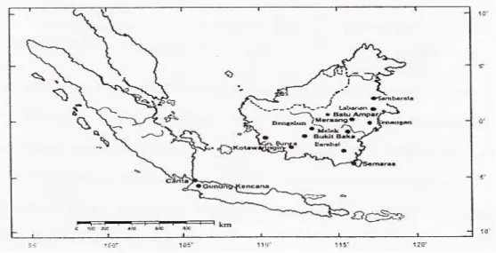 Gambar 1. Lokasi pertanaman konservasi ex situ dan populasi asal S. leprosula.  