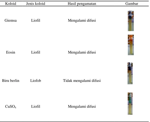 Tabel 2  Pengamatan sifat-sifat larutan koloid 