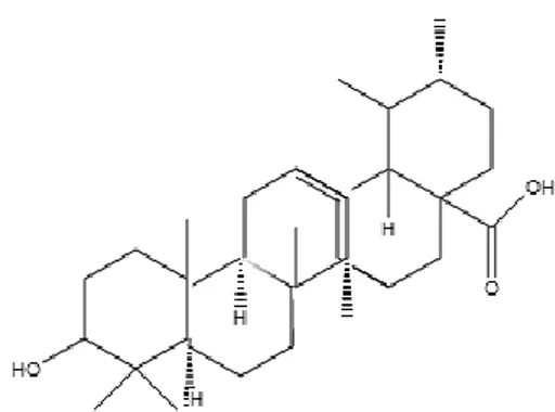 Gambar 2. Struktur Asam Ursolat (Rahman et al., 2011) 
