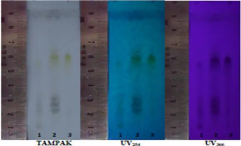 Gambar 2.Uji kualitatif senyawa flavonoid setelah diuapi ammonia dan disemprot vanillin asam sulfat,  penotolan dari kiri ke kanan, sari air (1), sari etanol 70% (2), standar (3) 