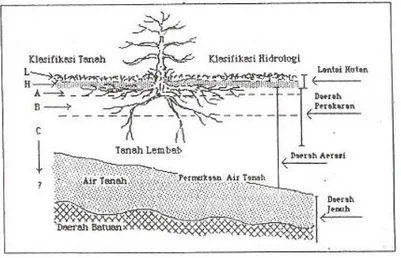 Gambar 1.4. Klasifikasi lapisan tanah menurut ilmu tanah dan ilmu hidrologi  (diadaptasi dari Hewlett, 1982 dalam Asdak, 2004) 