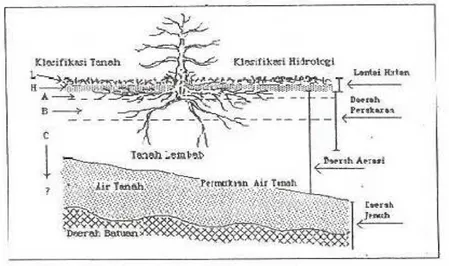Gambar  1.6.    Klasifikasi  lapisan  tanah  menurut  ilmu  tanah  dan  ilmu  hidrologi  (diadaptasi dari Hewlett, 1982 dalam Asdak, 2004) 