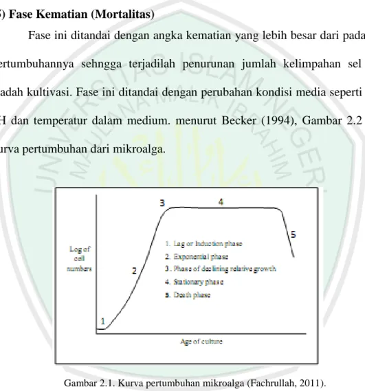 Gambar 2.1. Kurva pertumbuhan mikroalga (Fachrullah, 2011).  