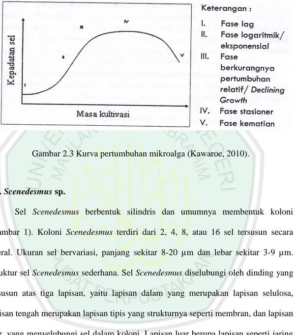Gambar 2.3 Kurva pertumbuhan mikroalga (Kawaroe, 2010). 