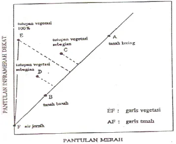 Gambar 1.9. Garis vegetasi dan garis tanah (Richardson dan Weigand, 1977  dalam Danoedoro, 1996) 
