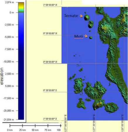 Gambar 2: Citra Shuttle Radar Topographic Mission (SRTM)