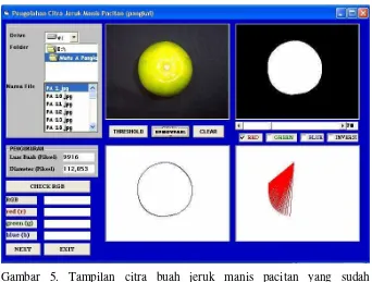 Gambar 5. Tampilan citra buah jeruk manis pacitan yang sudah 