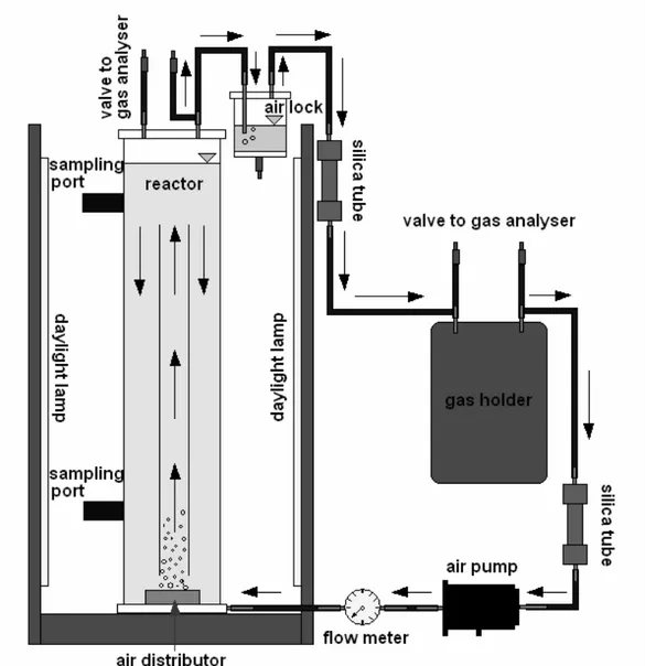 Gambar 1. Skema fotobioreaktor 