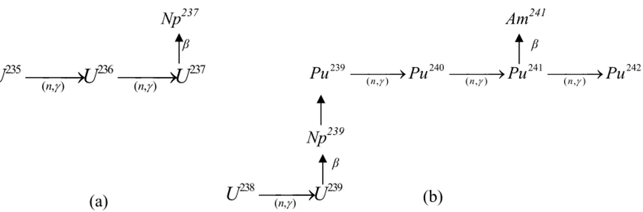 Gambar 2.5 Reaksi uranium di dalam core (a) U-235 dan (b) U-238 