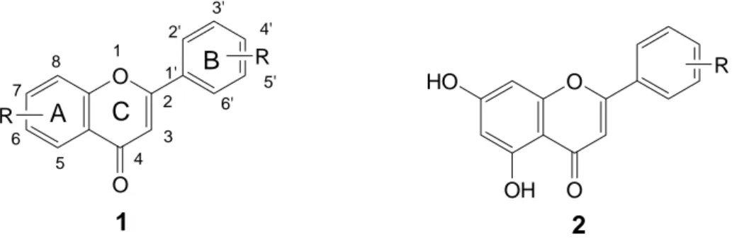 Gambar 2. 1 Kerangka dasar flavonoid dan pola hidroksilasi cincin Α       (1) kerangka dasar flavonoid, (2) pola hidroksilasi cincin A   