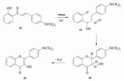 Gambar 2. 17 Reaksi fotokimia 4’-N,N-dimetilamino-2’-hidroksicalkon (42) 