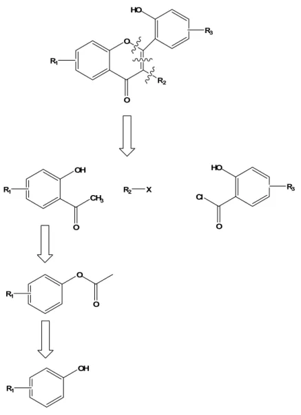 Gambar 2. 3 Analisis retrosintesis flavonoid teralkilasi 