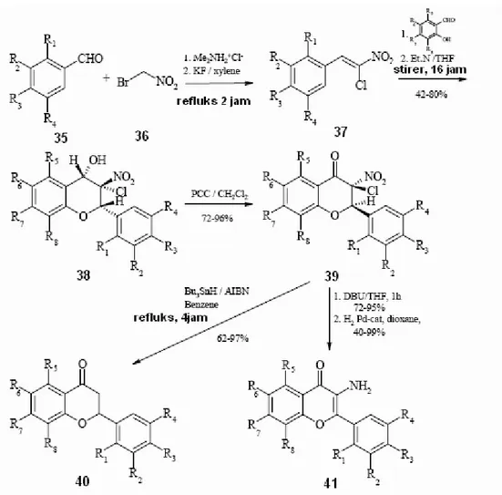 Gambar 2. 16 Rute sintesis flavavon (50) dan 3’-aminoflavon (51) 