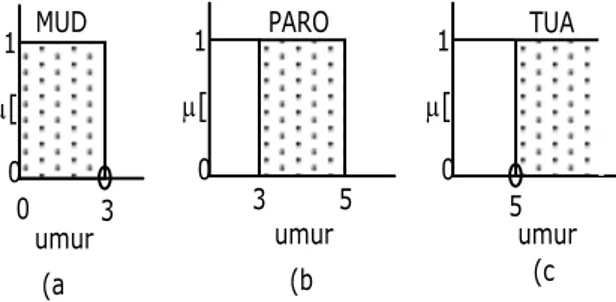 Gambar 1. Himpunan: Muda, Parobaya, Dan Tua.