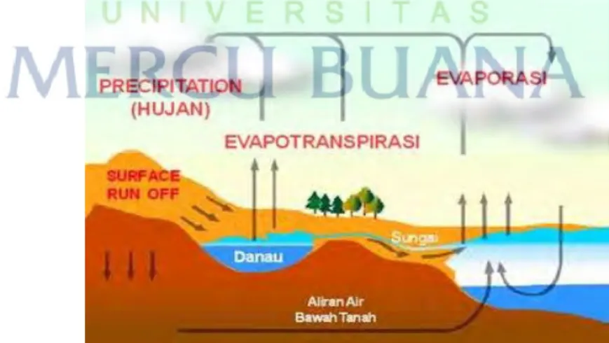 Gambar 2.4 Proses Evapotranspirasi 
