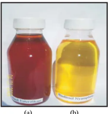 Gambar 1. Biodiesel dari proses tranesterifikasi pada rasio molar metanol minyak 6:1 dan katalis NaOH 1% (a : bahan, b : biodiesel)