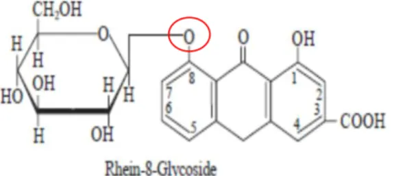 Gambar 7 : Struktur Rhein-8-Glycoside (Kar, 2007). 