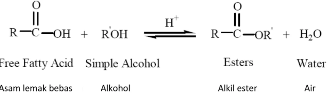 Gambar 2.  Reaksi esterifikasi (Khan, 2002)                       Figure  2.  Esterification reaction (Khan, 2002) 