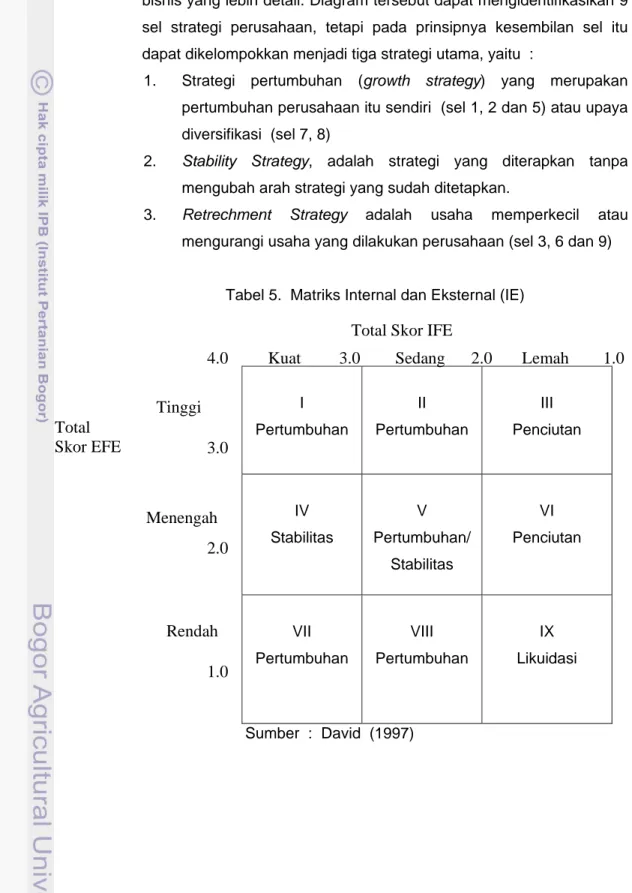 Tabel 5.  Matriks Internal dan Eksternal (IE) 