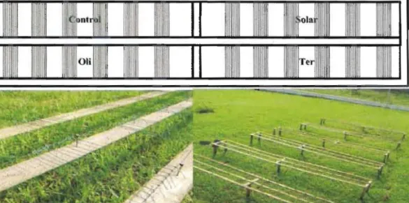 Gambar 1.  Pemasangan benang pada panel. 
