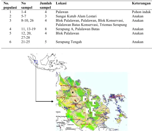 Tabel 1. Daftar sampel ramin dari setiap populasi.