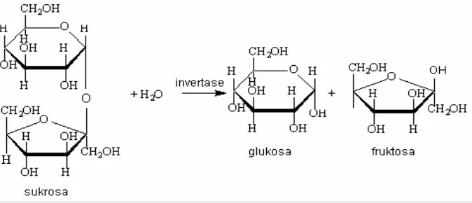 Gambar 1. Reaksi hidrolisis sukrosa oleh invertase 