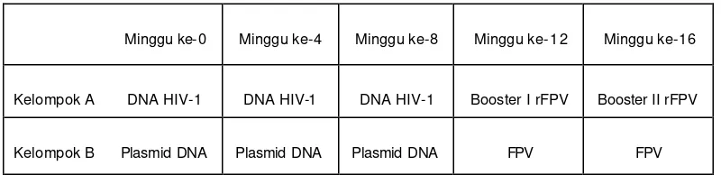 Tabel 2.    Daftar Identitas Macaca nemestrina (nomor tato) kelompok A (kelompok yang divaksinasi) dan kelompok B (kelompok kontrol)  