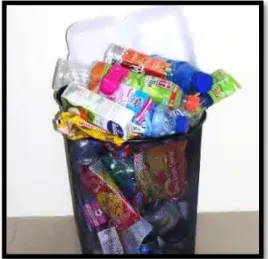 Gambar 9. Sampah kering 