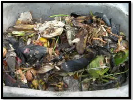 Gambar 1. Sampah dari pemukiman penduduk 