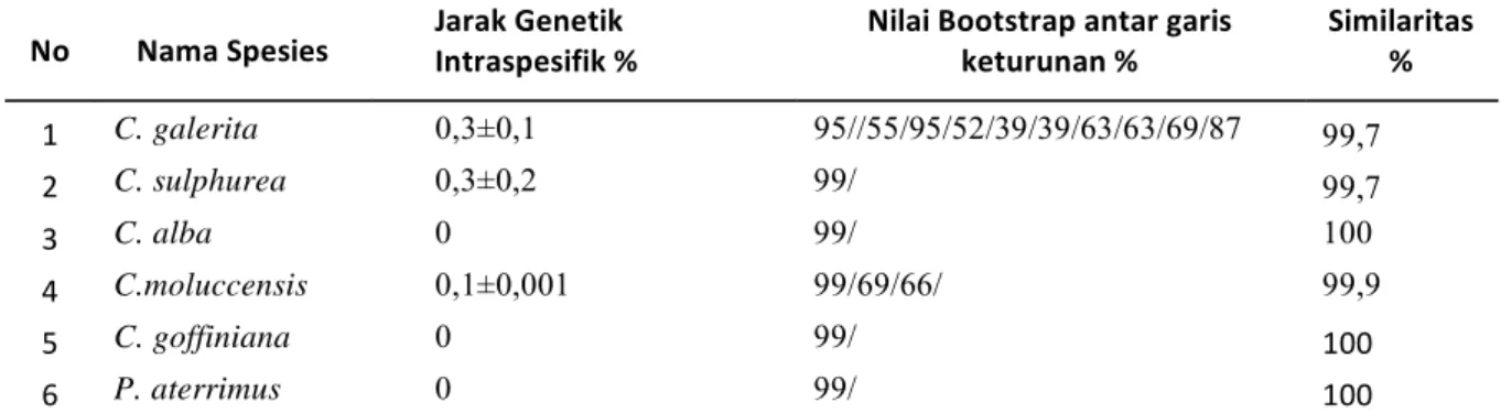 Tabel 2. Jarak genetik interspesifik burung kakatua (Psittacidae)No Nama Spesies Jarak Genetik 
