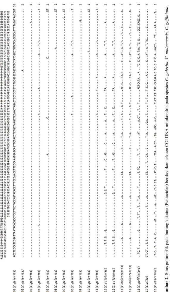 Gambar 2. Situs polimorfik pada burung kakatua (Psittacidae) berdasarkan sekuen COI DNA mitokondria pada spesies C