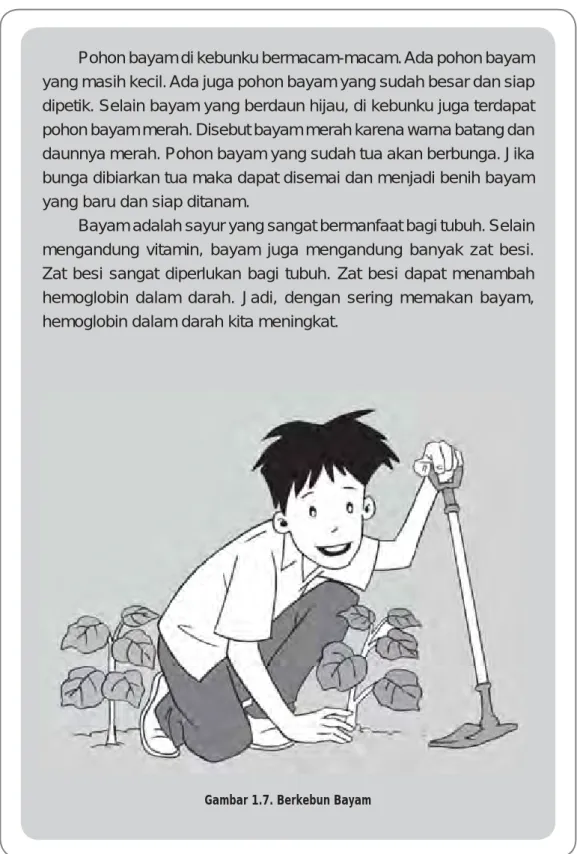 Gambar 1.7. Berkebun Bayam