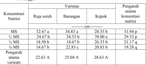 Tabel 3. Panjang akar planlet beberapa varietas pisang dalam media MS dengan  berbagai konsentrasi nutrisi setelah penyimpanan secara in vitro selama  16 minggu
