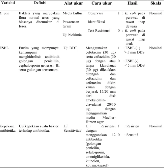 Tabel 3.1 Definisi Operasional