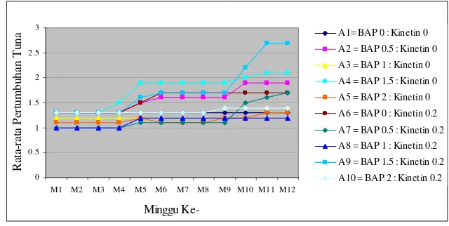 Gambar 6 Rata-rata pertumbuhan jumlah tunas pada perlakuan pemberian zat pengatur tumbuh Sitokinin (BAP, Kinetin dan kombinasinya)