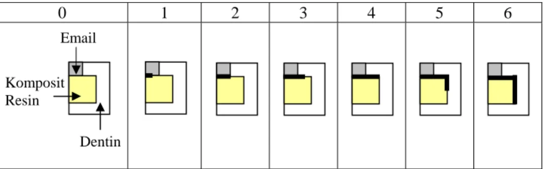 Gambar 1. Skor kebocoran mikro (Terakawa dan Takahata, 2007) 20  0 = tidak ada penetrasi 