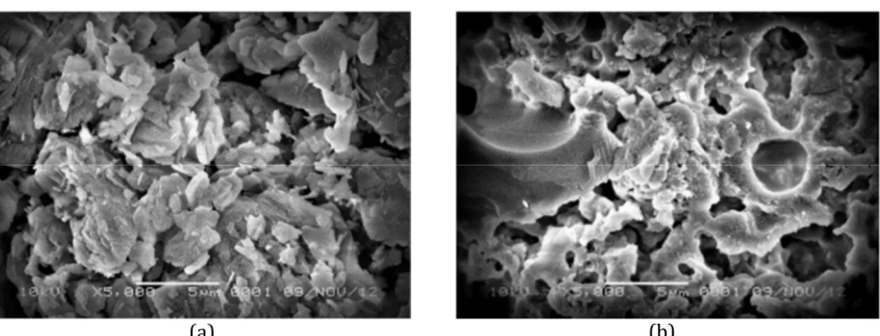 Gambar  4.  Hasil  analisis  SEM  mortar  geopolimer  dari  (a)  metakaolin  dan  (b)  abu  terbang  yang  menggunakan  aktivator  KOH  dan  temperatur  pematangan  80  o C,  setelah  pemaparan  terhadap temperatur 800  o C selama 2 jam  