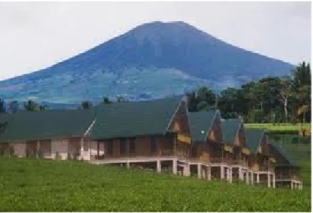Gambar 2.1.4.3 Gunung Dempo