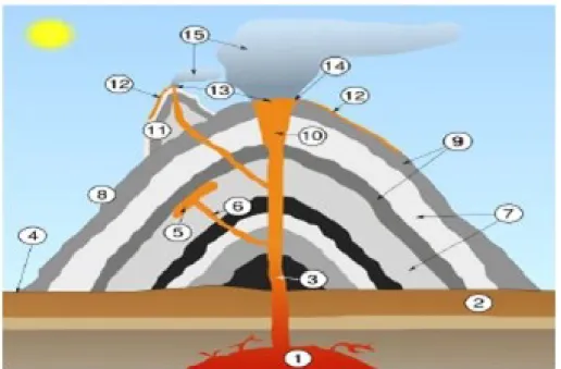 Gambar 2.1.3 Bagian – bagian Gunung Api 1.Dapur Magma 2.Batuan dasar 3.Pipa kawah 4.Permukaan dasar 5.Retas (siil)