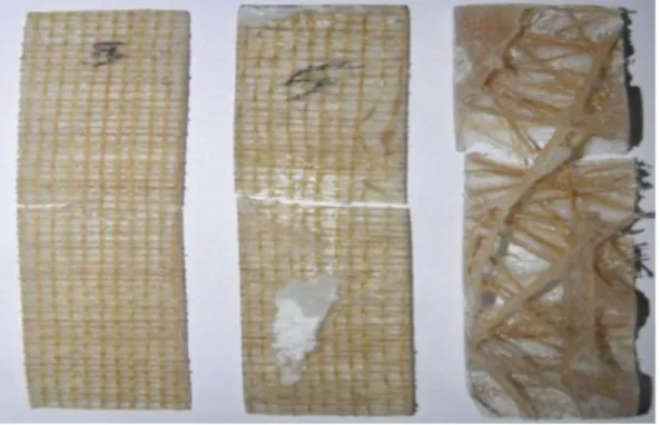 Gambar 9. Data hasil uji bending  pada masing- masing-masing jenis anyaman komposi serat bambu 