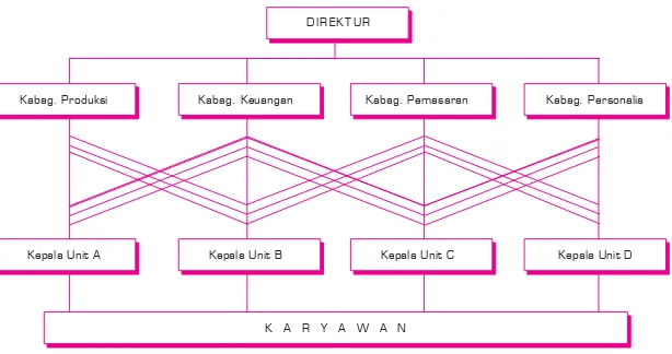 Gambar 5.4. Bagan Organisasi Fungsional