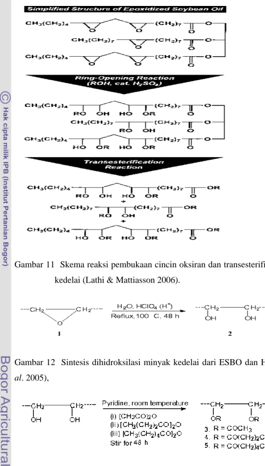 Gambar 11  Skema reaksi pembukaan cincin oksiran dan transesterifikasi epoksi minyak   kedelai (Lathi &amp; Mattiasson 2006)