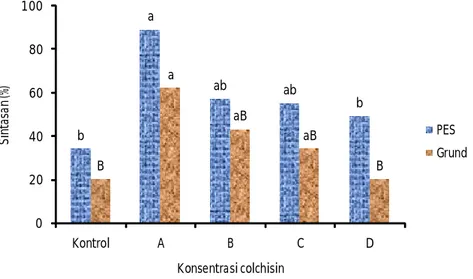 Gambar  2. Sintasan mikropropagule K. alvarezii pada media kultur PES dan  Grund  yang  diperkaya  dengan  colchisin