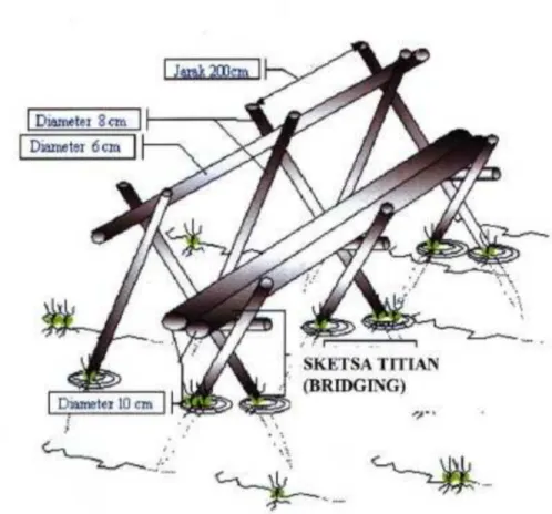 Gambar 6. Sketsa Titian (bridging)