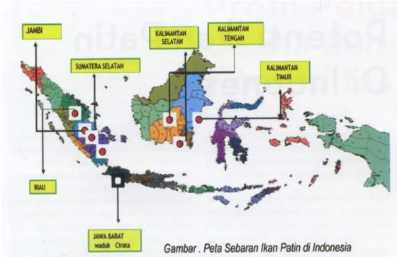 Gambar 2  Peta Sebaran Ikan Patin di Indonesia 