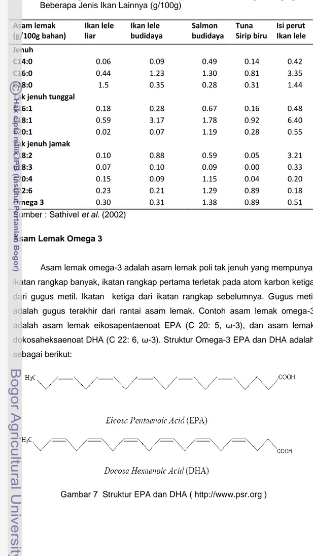 Tabel 4 Perbandingan Profil Asam  Lemak Isi perut  Ikan lele dengan Daging  Filet  Beberapa Jenis Ikan Lainnya (g/100g) 