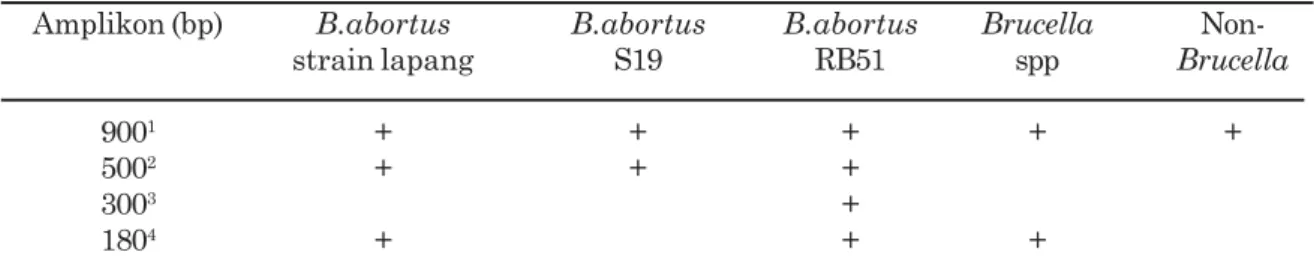 Tabel 3. Amplifikasi produk Brucella abortus strain specific-polimerase chain reaction (BaSS- (BaSS-PCR)